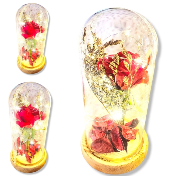 Silk Rose real preserved rose petals with Led Light String batteries Included - Picture 2 of 16